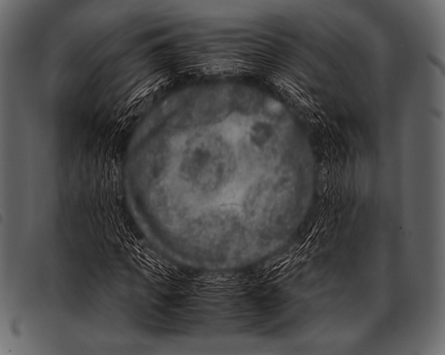 X0000097460917200803201423