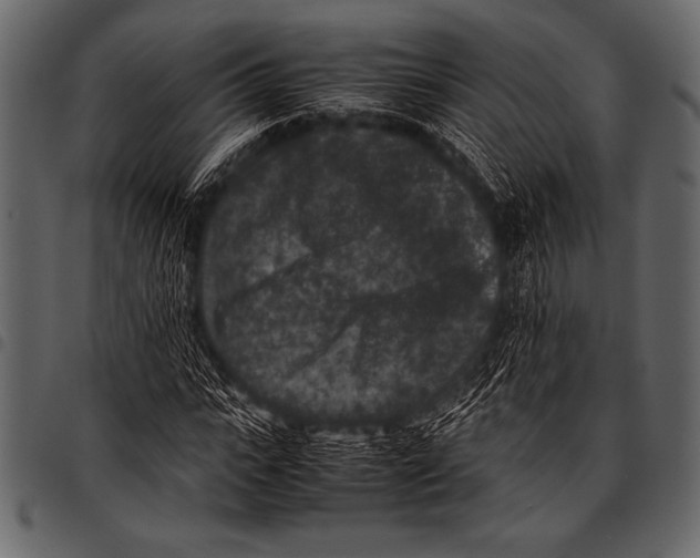 X0000097460919200803201423