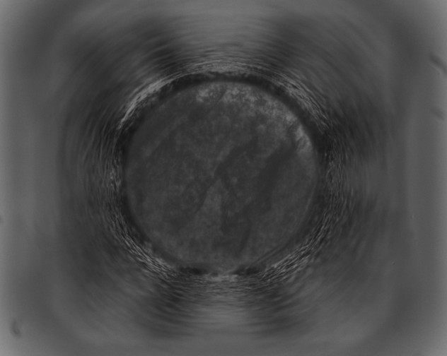 X0000097460920200803201423