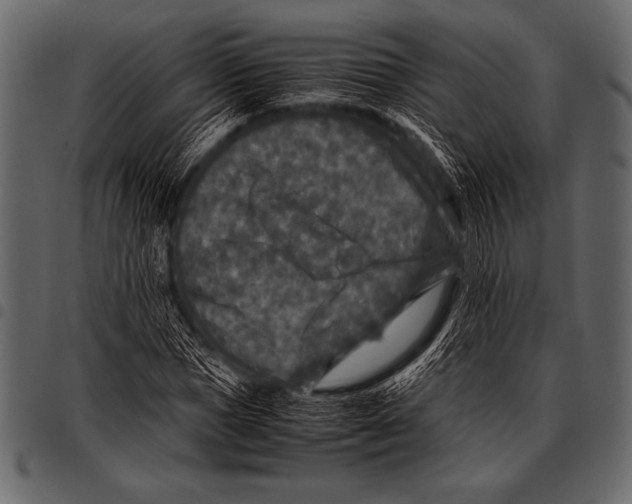 X0000097460921200803201423