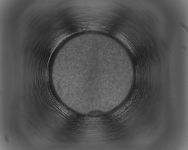 X0000097460924200803201423