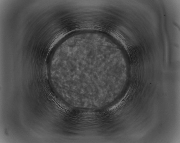 X0000097460925200803201423