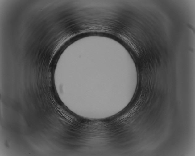 X0000097460926200803201423