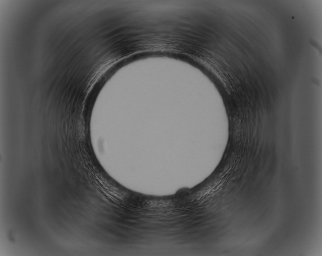 X0000097460927200803201423