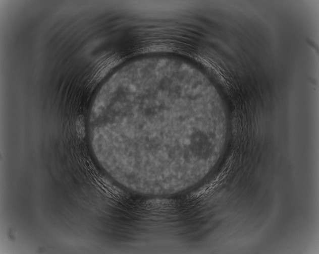 X0000097460929200803201423