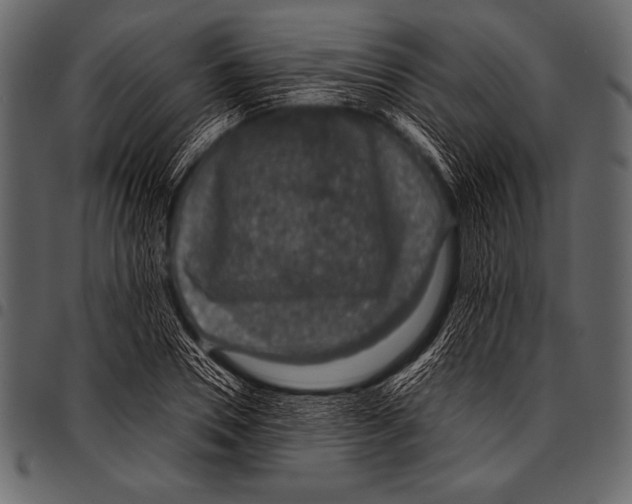 X0000097460930200803201423