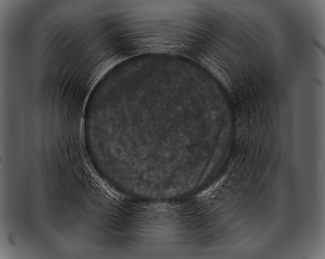 X0000097460932200803201423