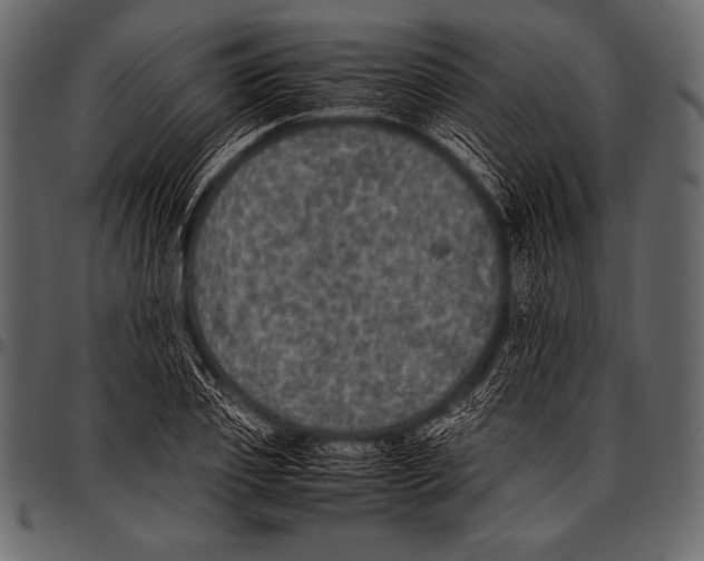 X0000097460933200803201423