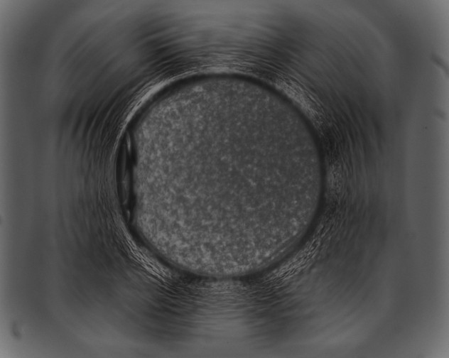 X0000097460934200803201423