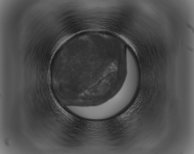 X0000097460935200803201423