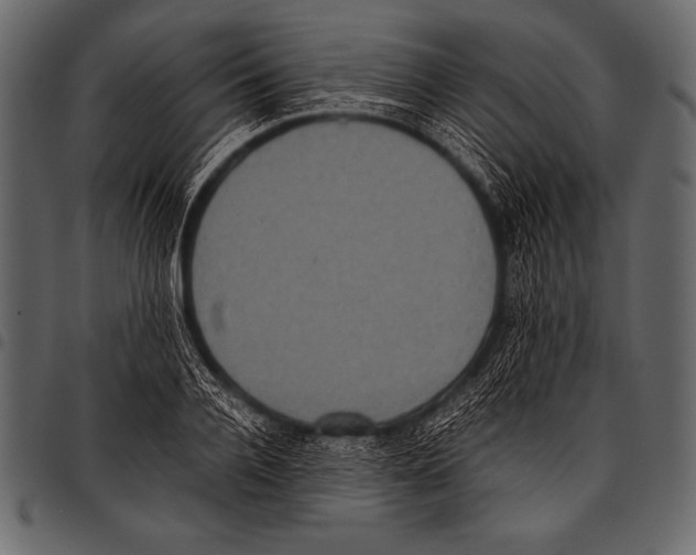 X0000097460936200803201423