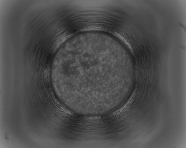 X0000097460937200803201423