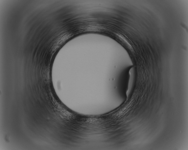 X0000097460938200803201423