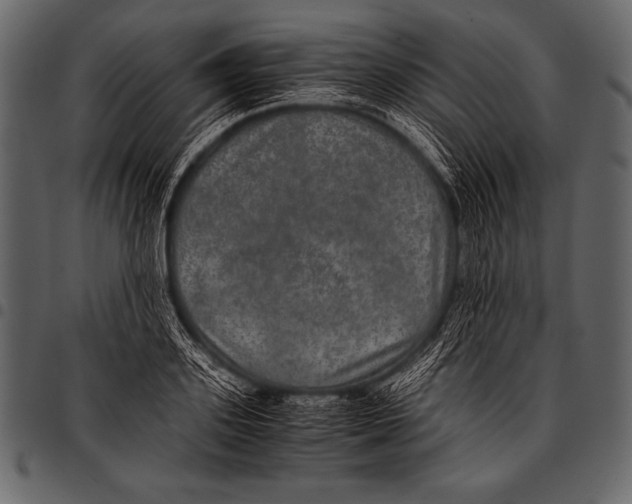 X0000097460939200803201423