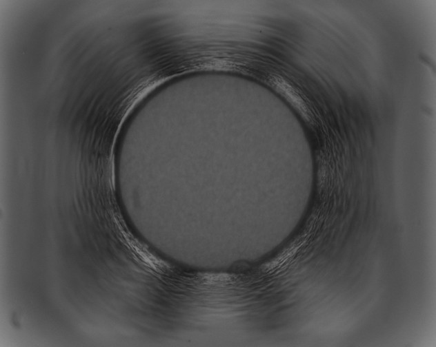 X0000097460940200803201423