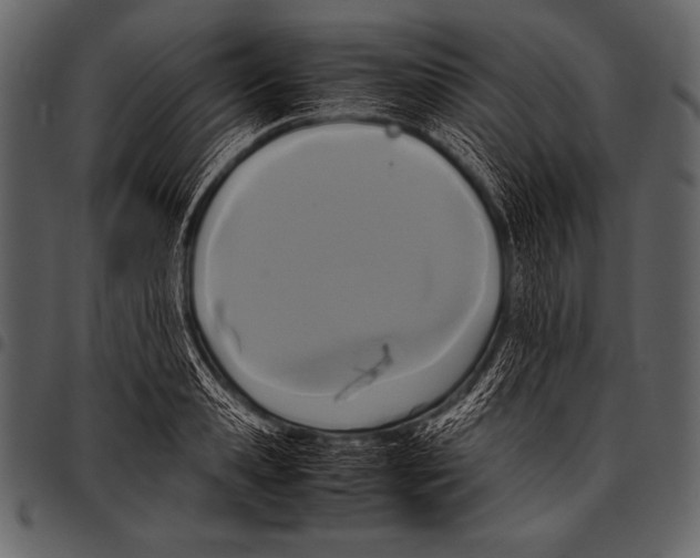 X0000097460941200803201423