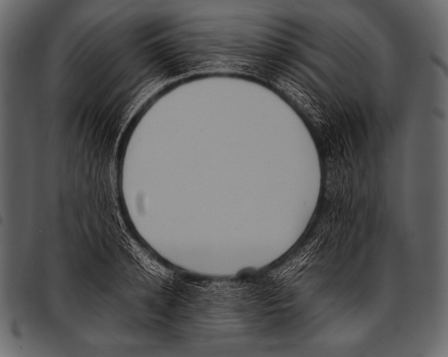 X0000097460942200803201423