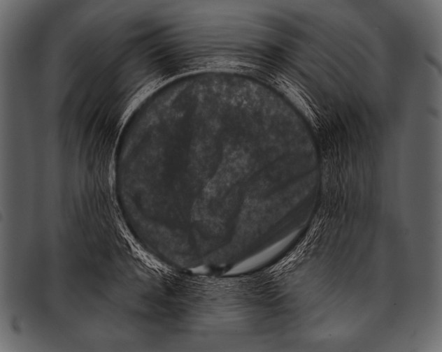 X0000097460944200803201423