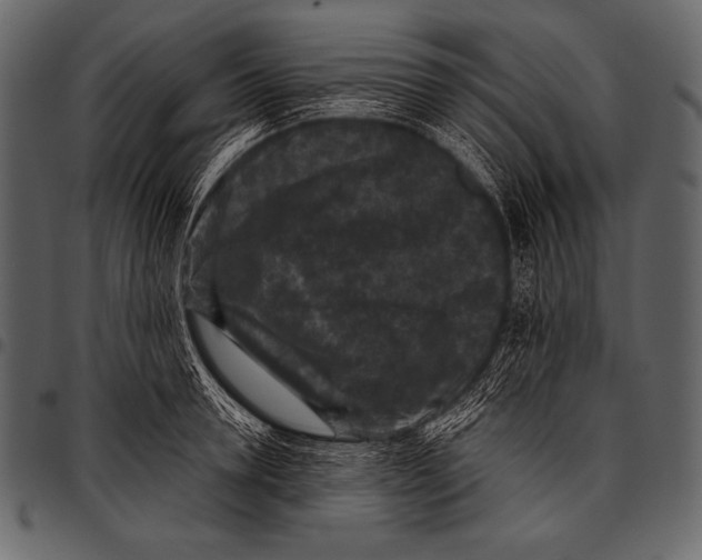 X0000097460946200803201423