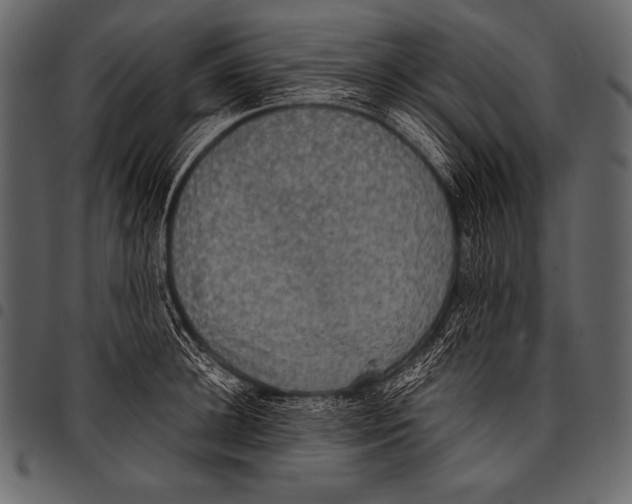 X0000097460948200803201423