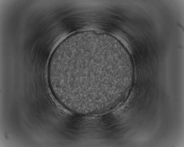 X0000097460949200803201423