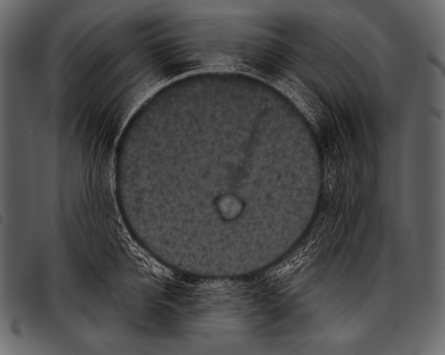 X0000097460950200803201423