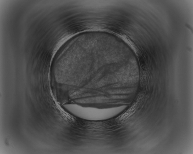 X0000097460951200803201423