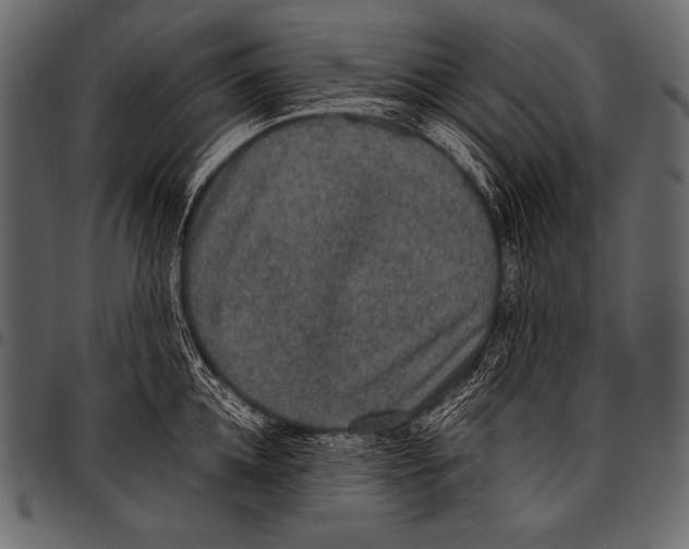 X0000097460952200803201423