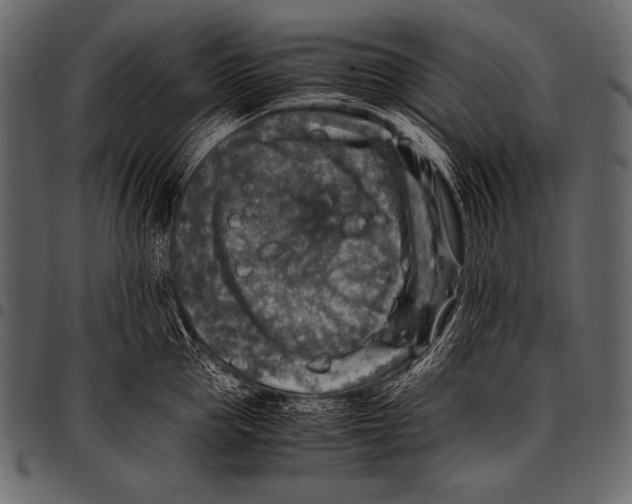 X0000097460953200803201423