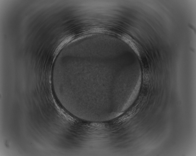 X0000097460954200803201423