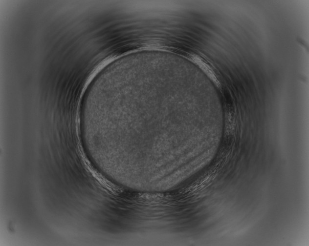 X0000097460955200803201423