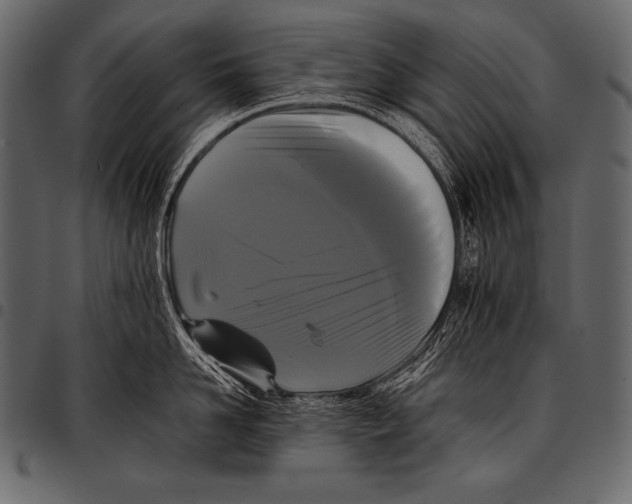 X0000097460958200803201423