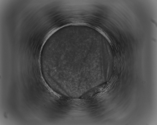 X0000097460959200803201423