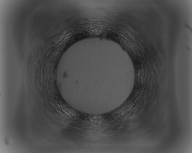 X0000097460961200803201422