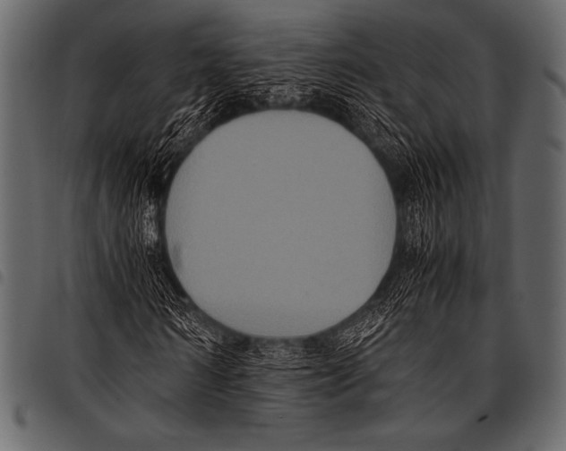 X0000097460962200803201422