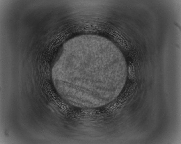 X0000097460963200803201422