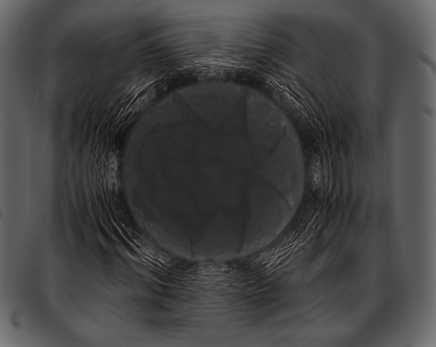 X0000097460964200803201422