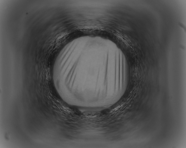 X0000097460965200803201422