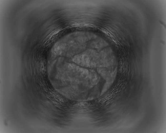 X0000097460966200803201422