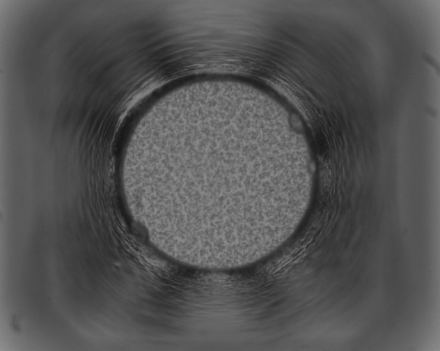 X0000097460971200803201422