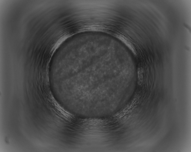 X0000097460972200803201422