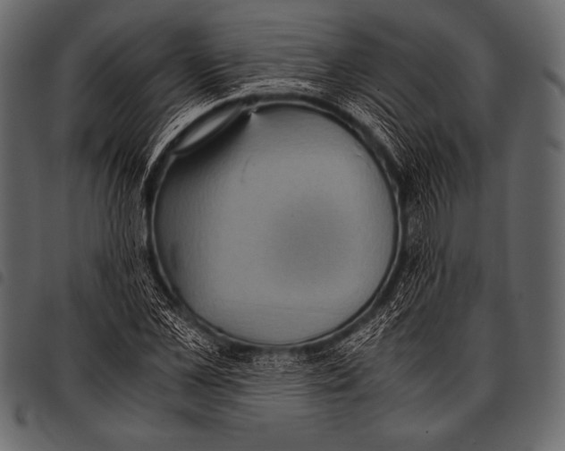 X0000097460973200803201422