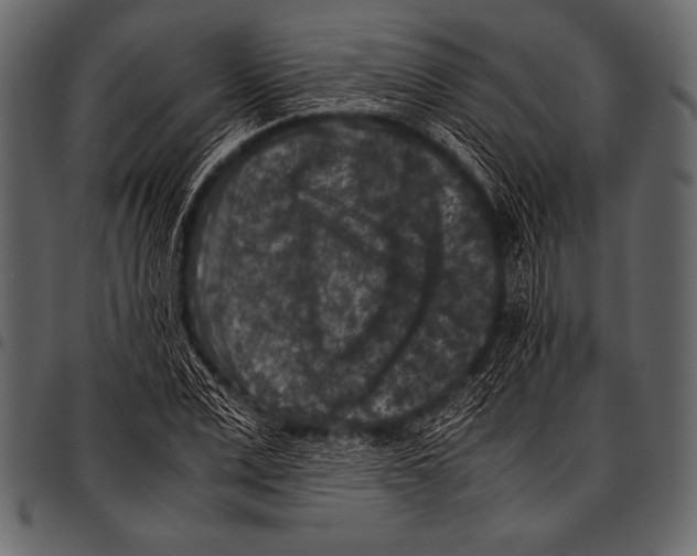 X0000097460975200803201422