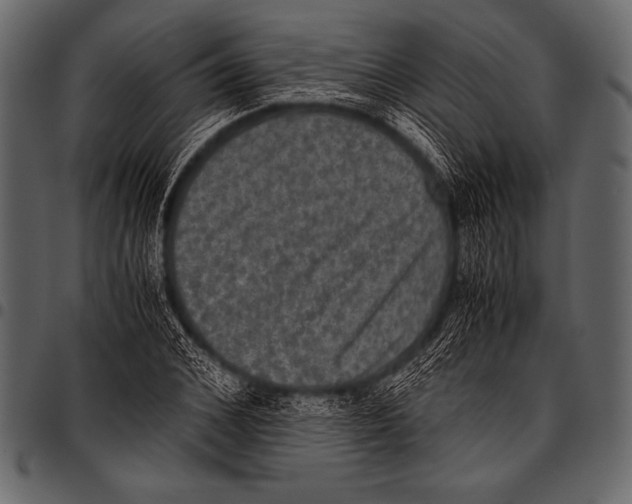 X0000097460976200803201422