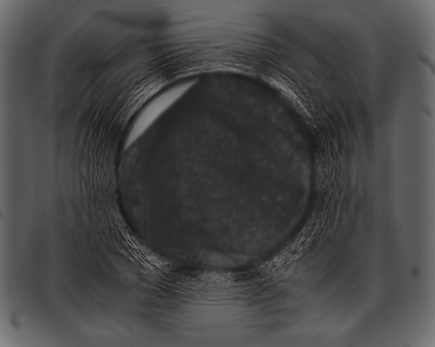 X0000097460977200803201422