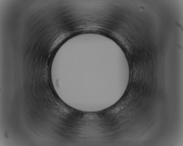 X0000097460978200803201422