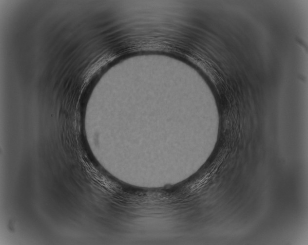 X0000097460979200803201422