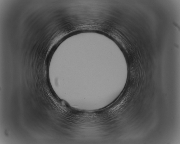 X0000097460981200803201422