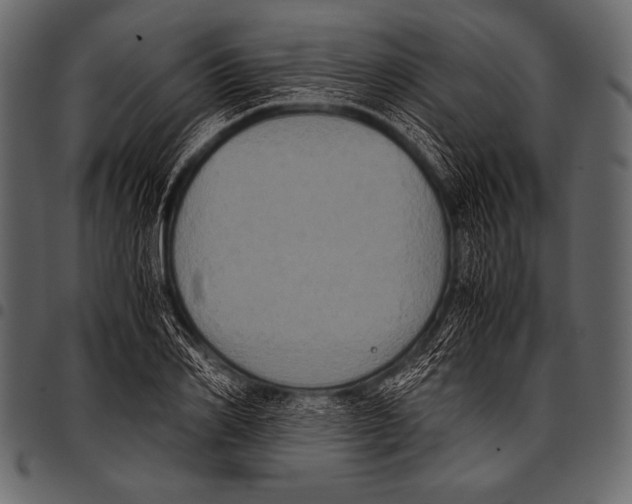 X0000097460982200803201422