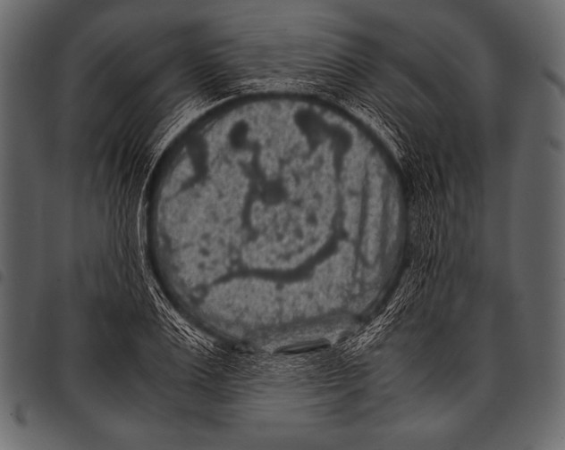 X0000097460983200803201422